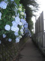d30f7d28.jpg