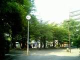 d3a87690.JPG