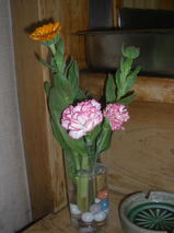 e1224d78.jpg