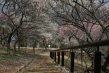 12010308