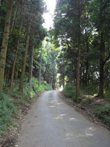 e1d6ed03.jpg
