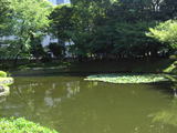 e969d458.jpg