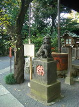 f1845a64.jpg