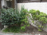 fddc6f69.jpg