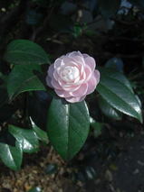 fee5568e.jpg