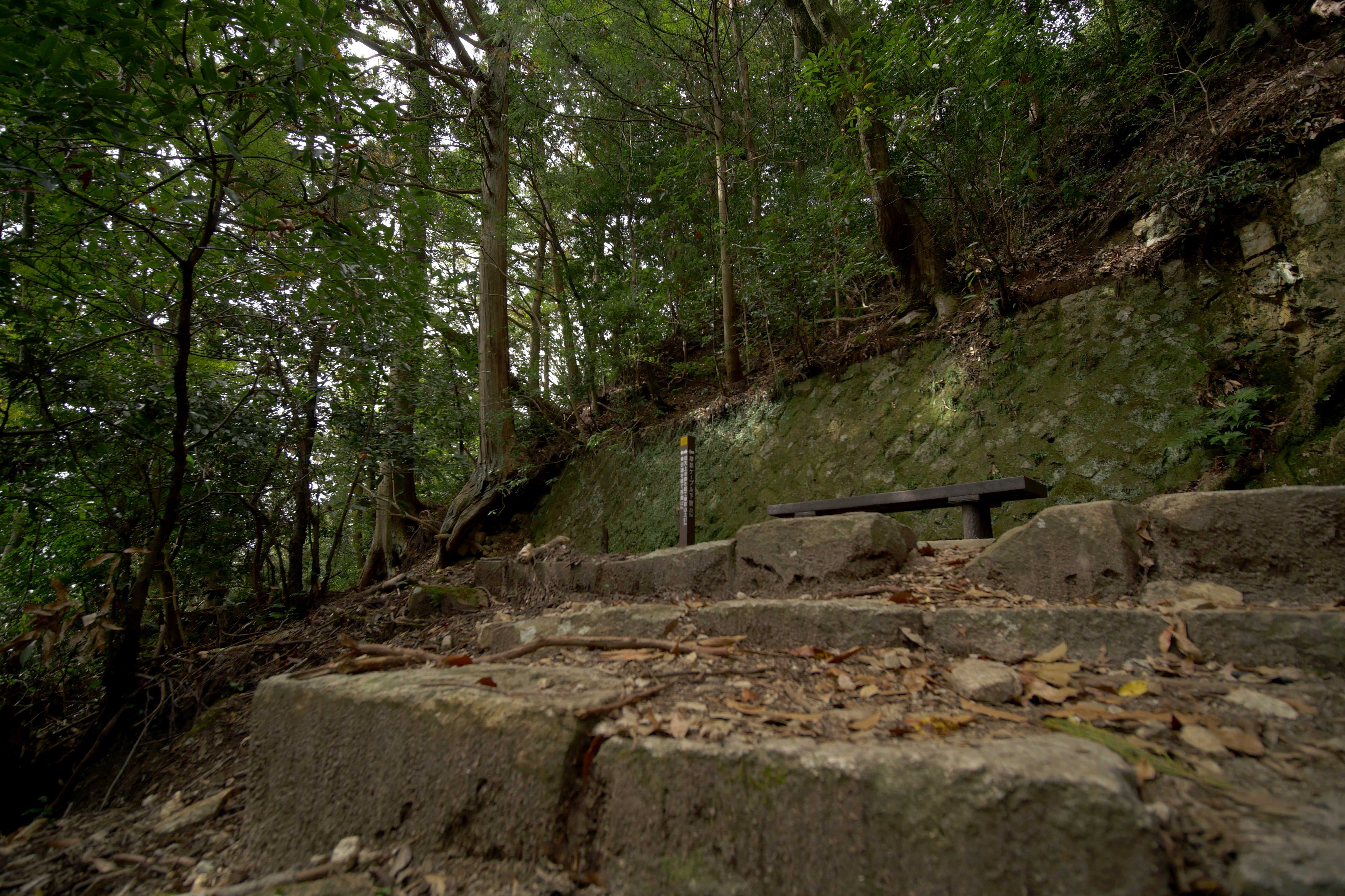 プチ登山で摩耶山 天上寺 六甲散策 ９ 風雲 あかまつ砦