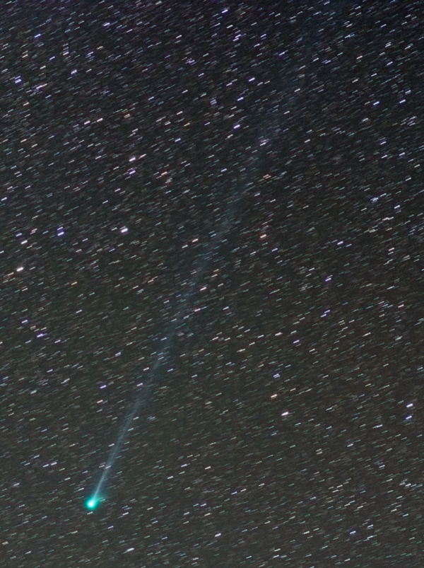 317cd404.jpg