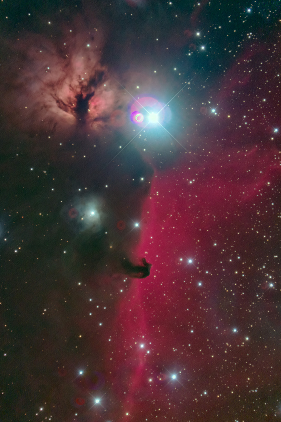 horsehead