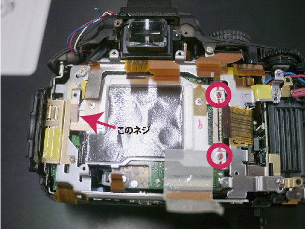 6203366c.jpg