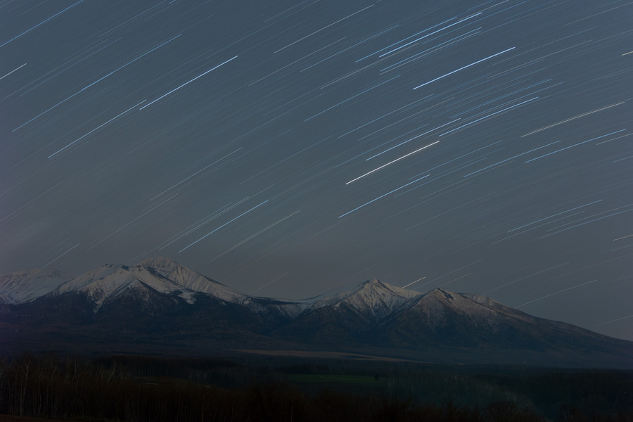 DSC_4819_DxO-強化-NR