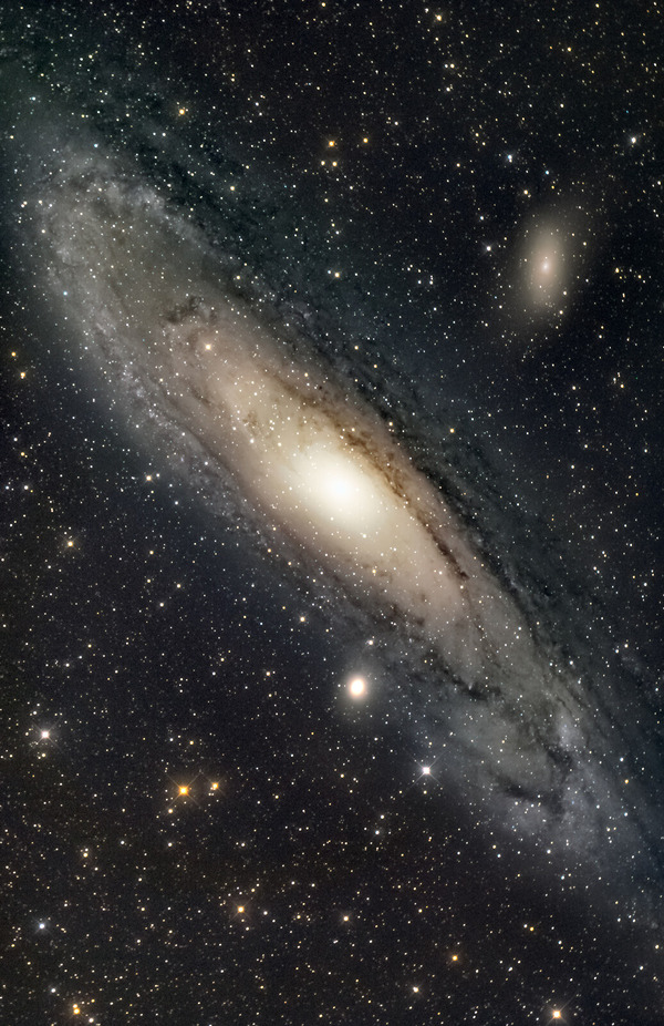M31