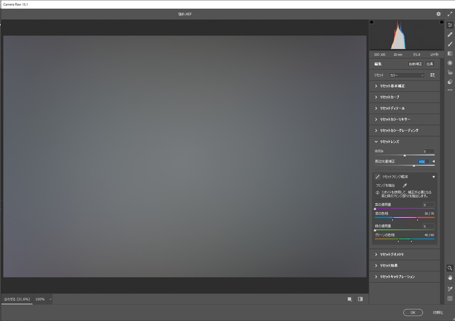 Strong_CameraRaw_200_CameraRawFilter