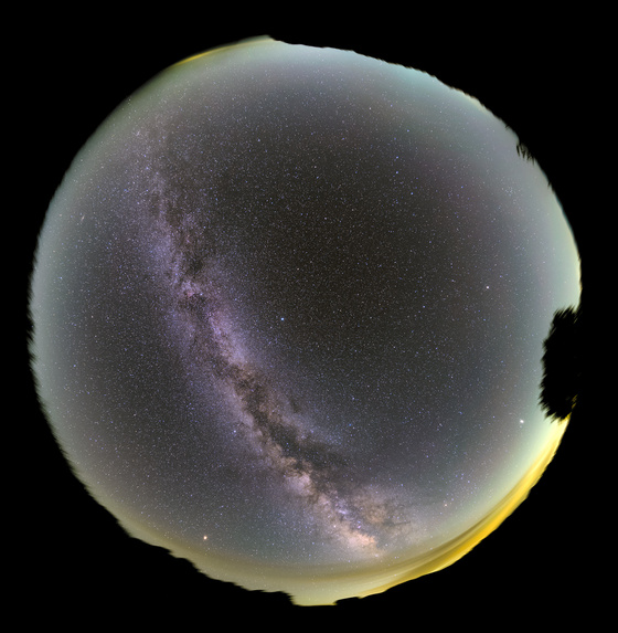 a0d08782.jpg