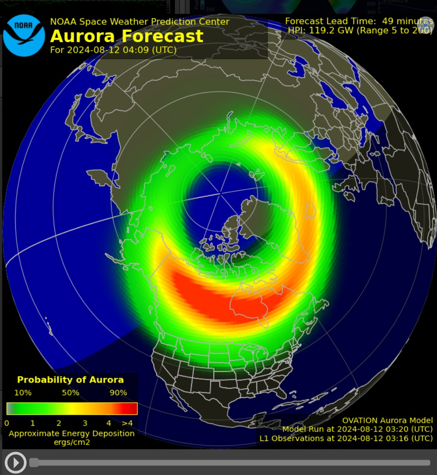 スクリーンショット 2024-08-12 122641
