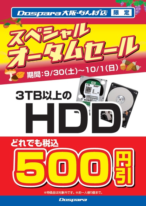 なんばオータムHDD
