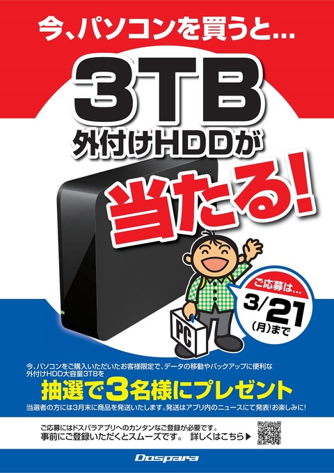 DLS-HDDプレゼントキャンA4-160311修正02