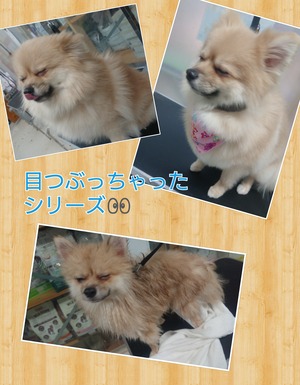�ޥ��4_1647178611516