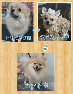 �ޥ��1_1647178892493