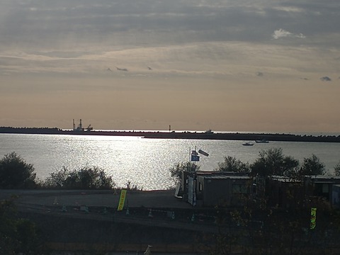 IMG_20221202_083124425