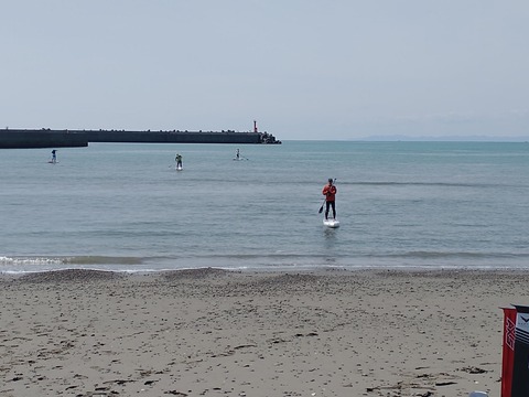 IMG_20220321_114159805