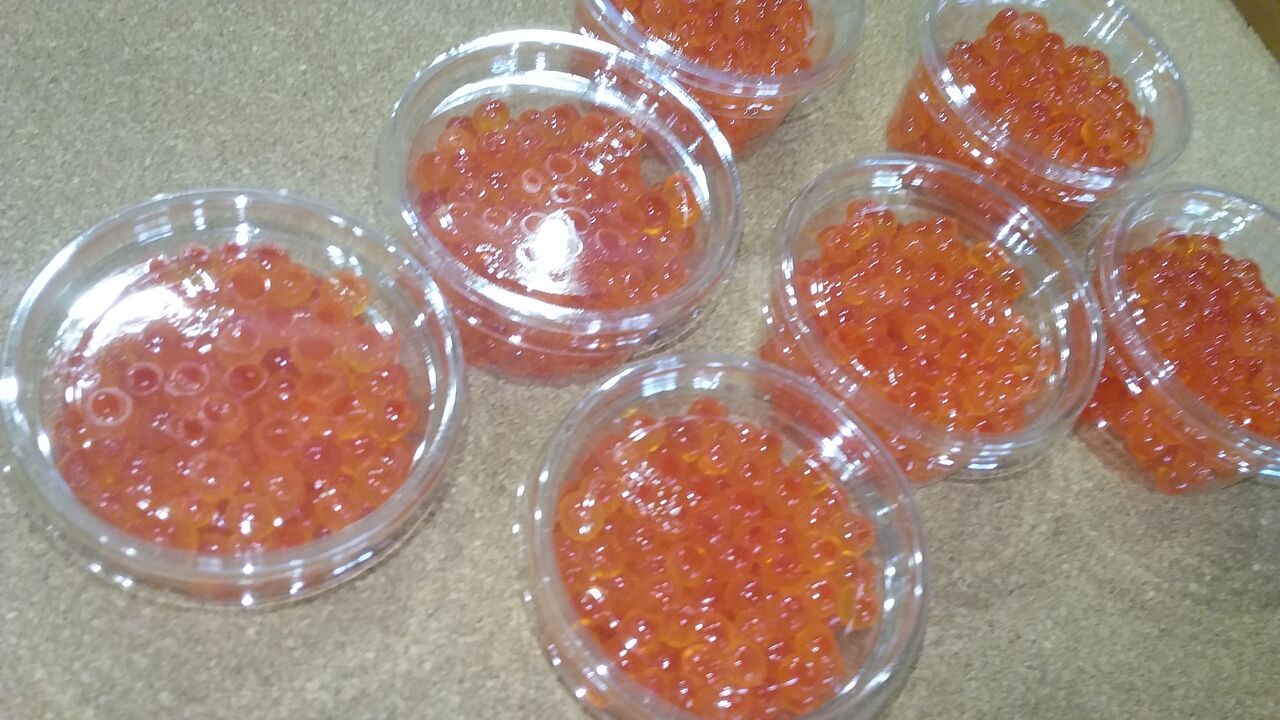 渓流釣りエサ販売中です! - Ba871f58