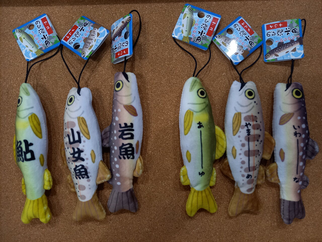 のび淡水魚 入荷 : 釣り具のしず業務連絡ブログ