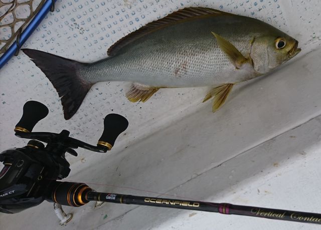 バーチカルコンタクト バチコン でイサキ Fishing Boat Style We Are Coast Patrol バーチカルコンタクト バチコン でイサキ Fishing Boat Style We Are Coast Patrol