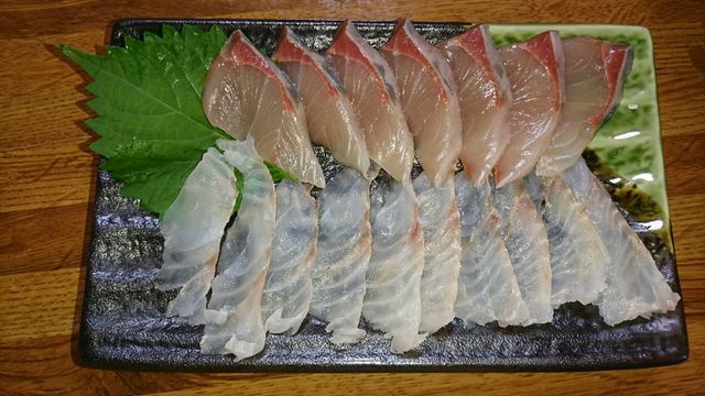 美味しく釣り魚を持ち帰るために Fishing Boat Style We Are Coast Patrol 美味しく釣り魚を持ち帰るために Fishing Boat Style We Are Coast Patrol