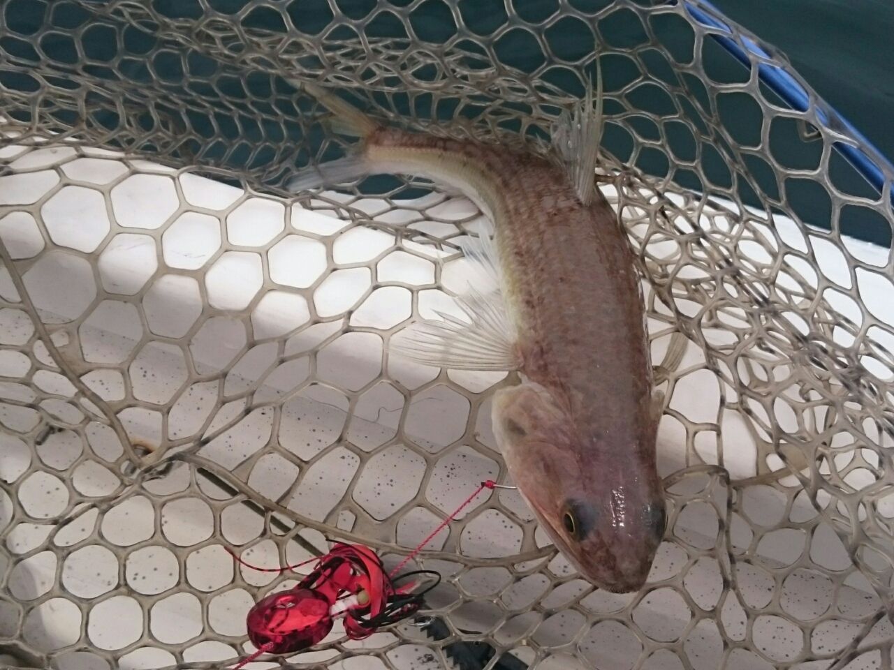 安いタックルですが いいんです Fishing Boat Style We Are Coast Patrol