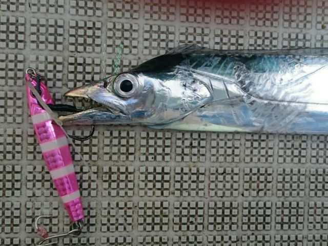 ガンガンジグ タチウオカラー Fishing Boat Style We Are Coast Patrol
