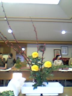 Shortpeople Livedoor Blog ブログ Shortpeople Livedoor Blog ブログ