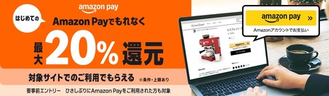 Amazon_Pay_LP_1200x350-Desktop_new