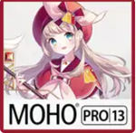  Moho Pro 13