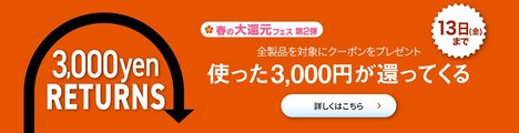 rec__03_spring_fes_coupon3000_pc