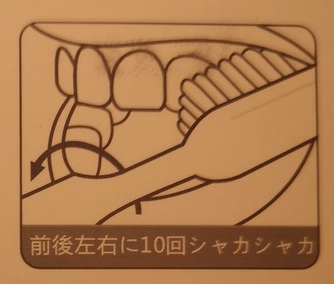 しゃかしゃか