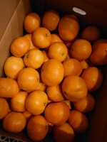 th_DSC_4763