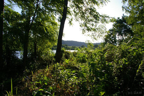 2009_0726_tamagawa_05