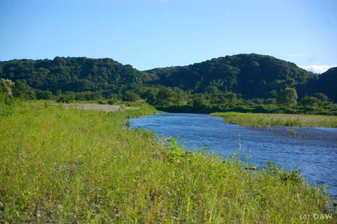 2009_0726_tamagawa_00