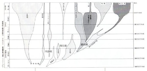 爬虫類系統図