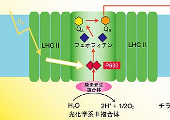 LHC2