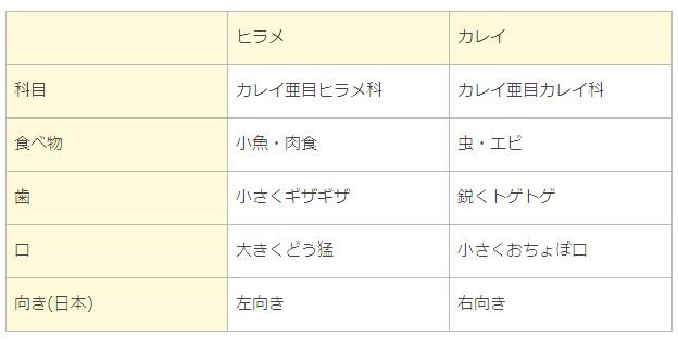 カレイとヒラメ 通俗記事 鈴木頌の発言 国際政治 歴史 思想 医療 音楽