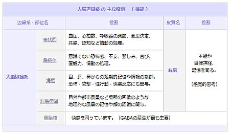 系 大脳 辺 縁 辺縁系とは。そしてその機能について。