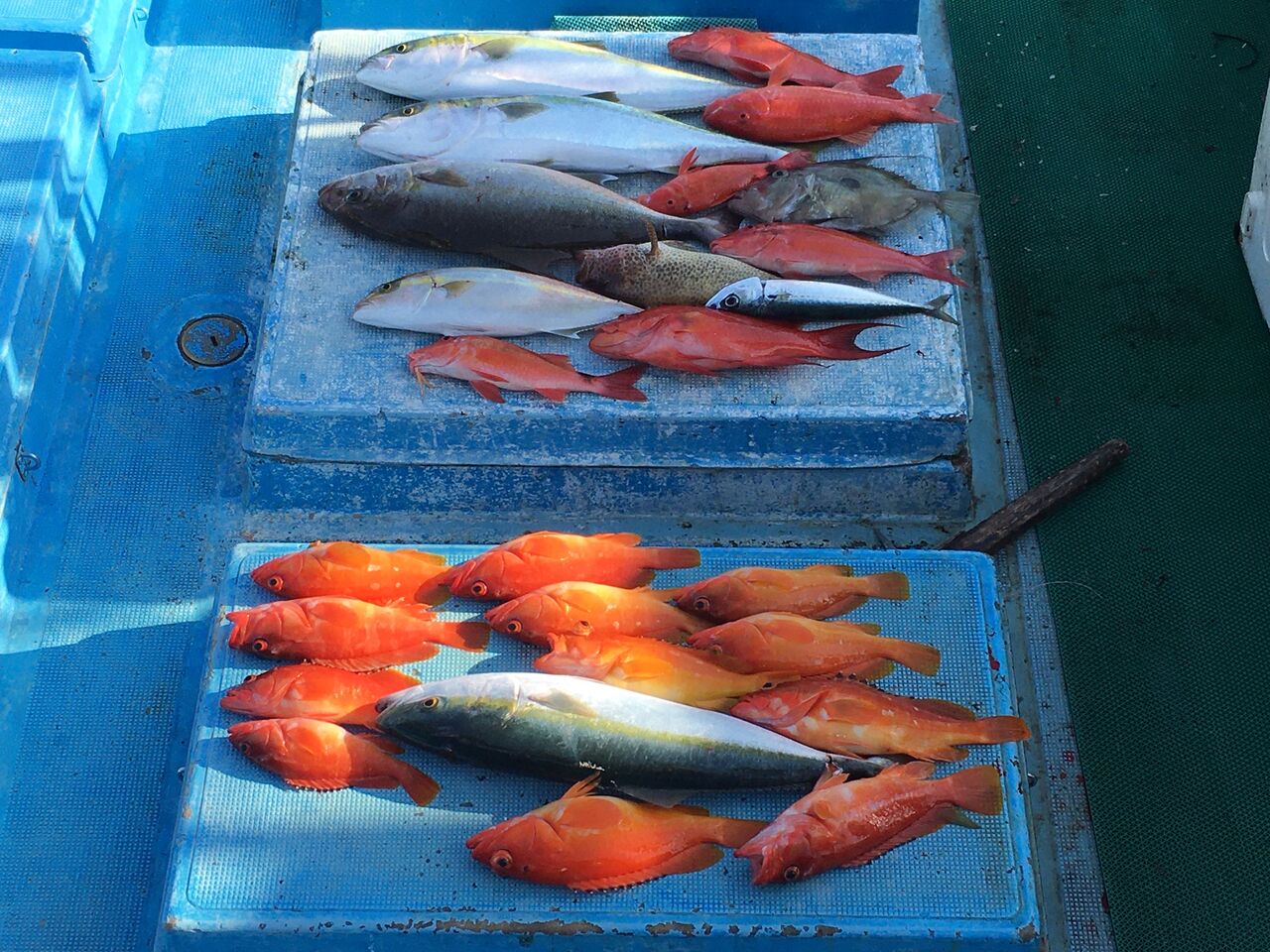 和歌山県の串本沖にオフショアジギングに行ってきました のんびり釣りブログ