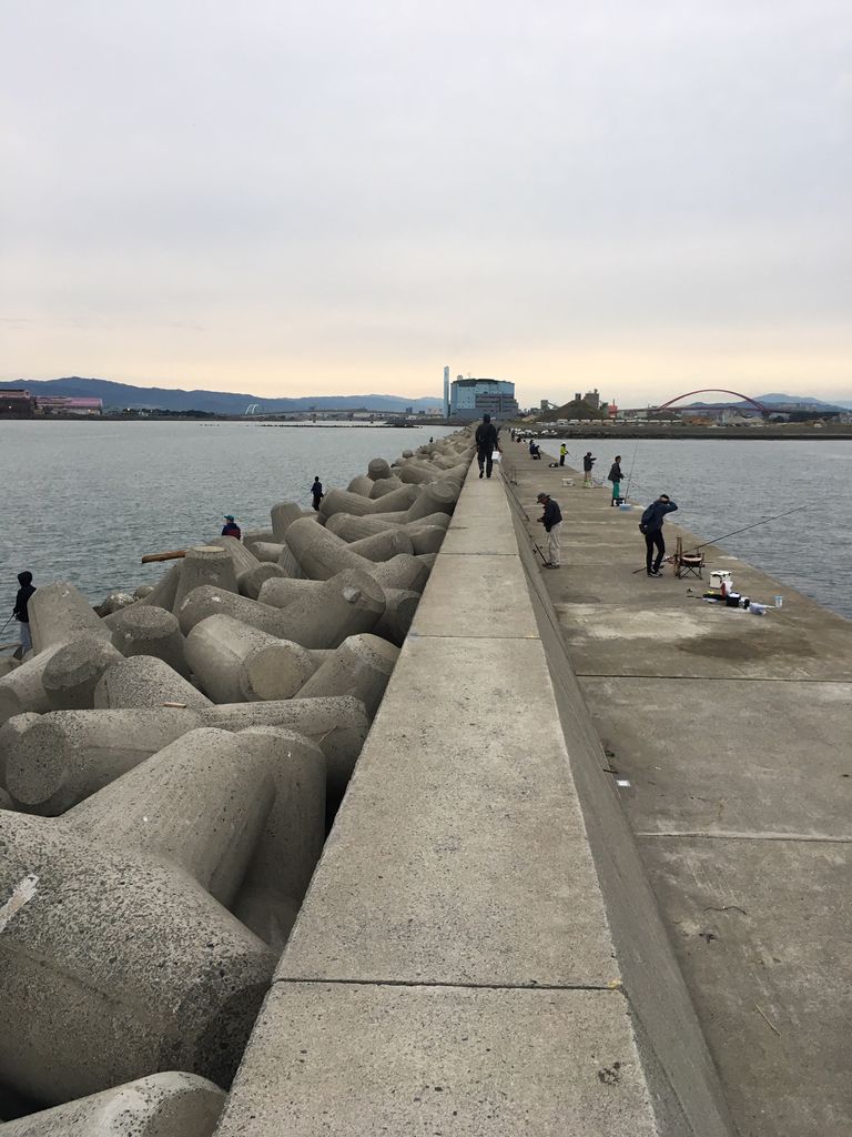 タチウオ釣りに行って来ました のんびり釣りブログ タチウオ釣りに行って来ました のんびり釣りブログ