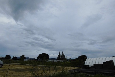 2020.0826blg1