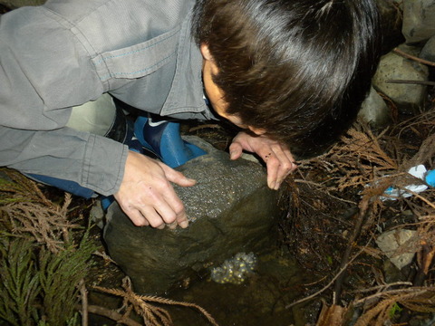 DSCN6348