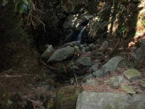 DSCN6333