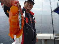 2010_1107将軍丸10010