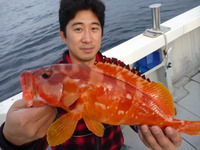 2010_1107将軍丸10012