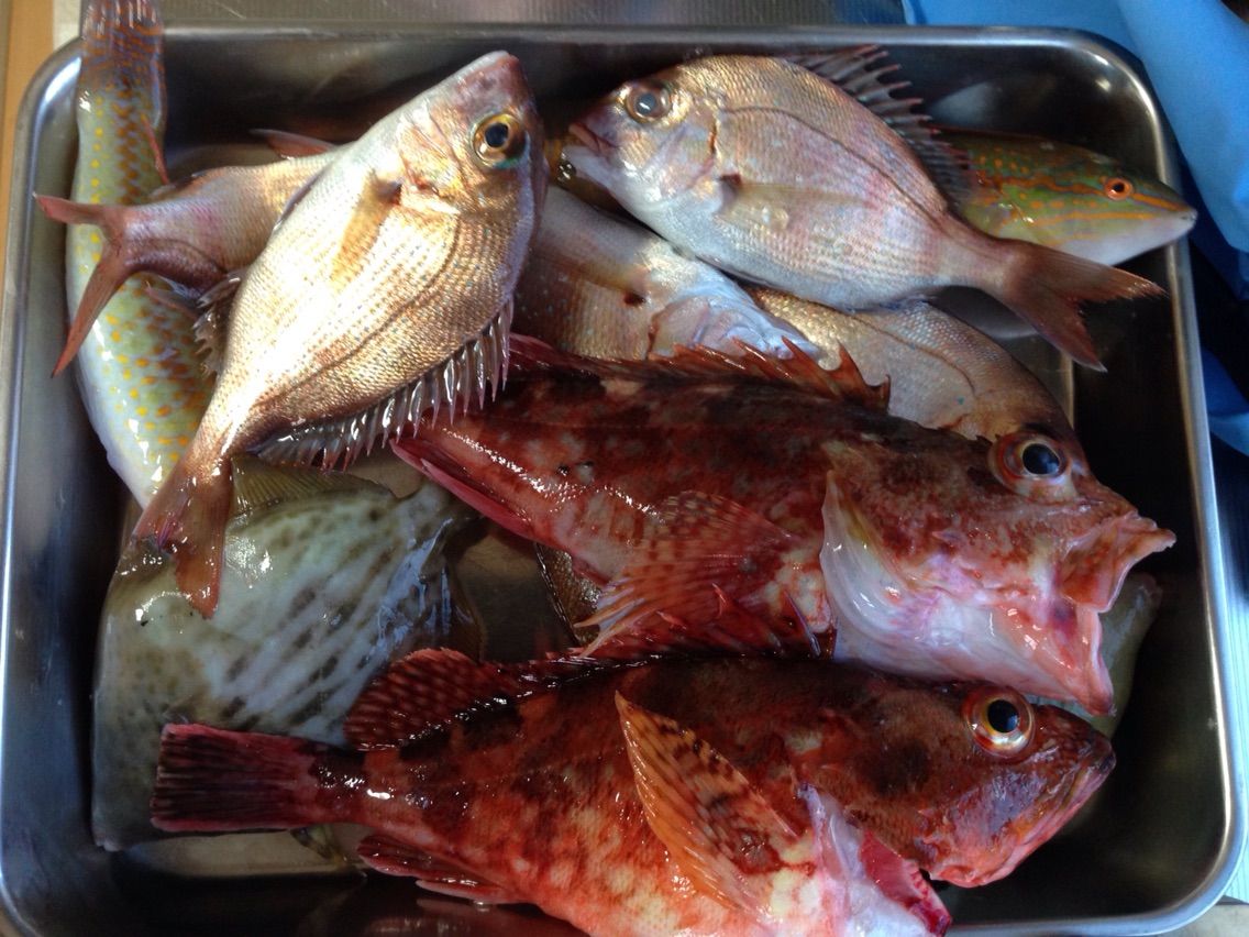 伊良湖産カワハギ料理 釣った魚を捌いて食べるブログ 伊良湖産カワハギ料理 釣った魚を捌いて食べるブログ
